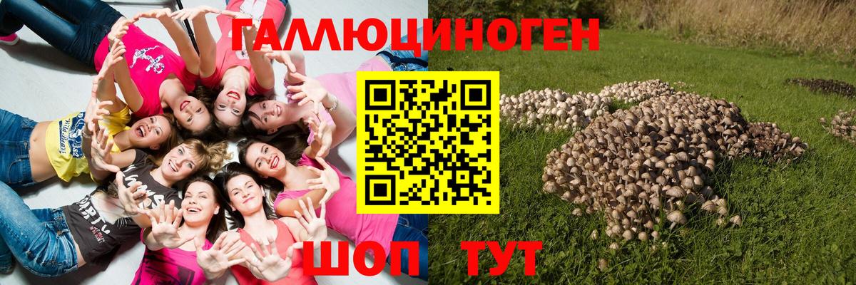 Галлюциногенные грибы ЛСД  Вход с VPN  Похвистнево  Псилоцибиновые грибы Magic Shrooms 