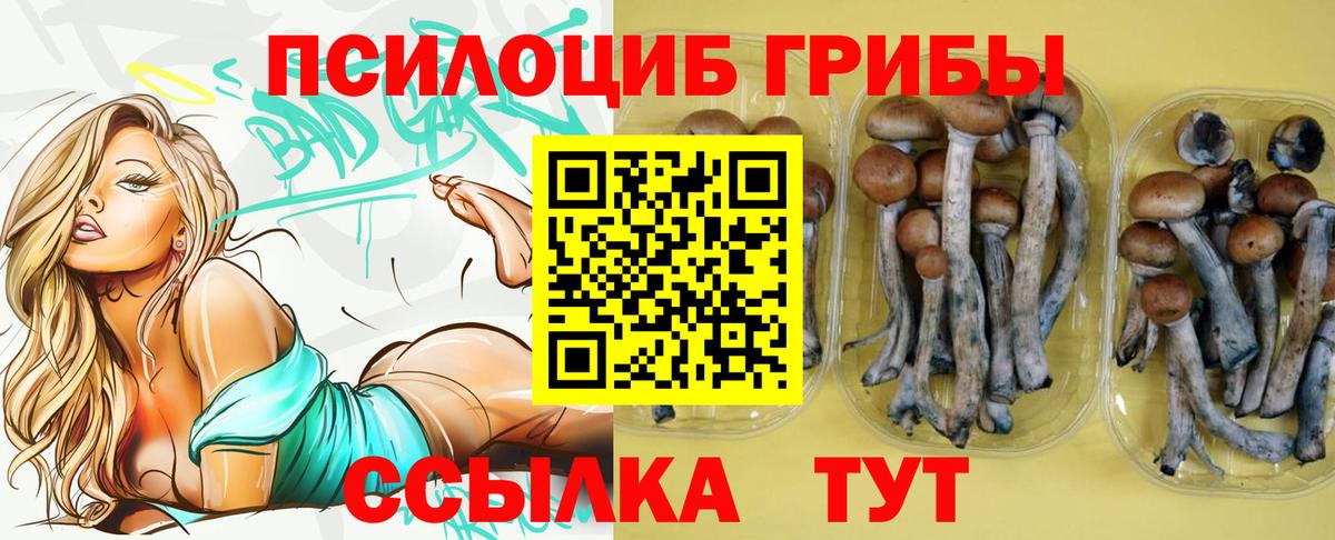 Псилоцибиновые грибы Magic Shrooms Похвистнево